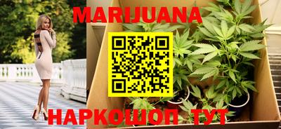 сатива Краснодар