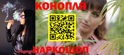 сатива Краснодар