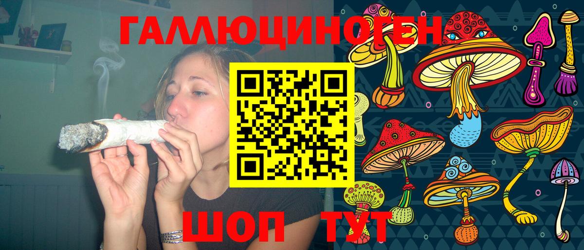 Псилоцибиновые грибы MAGIC MUSHROOMS  Вход с VPN  Керчь 
