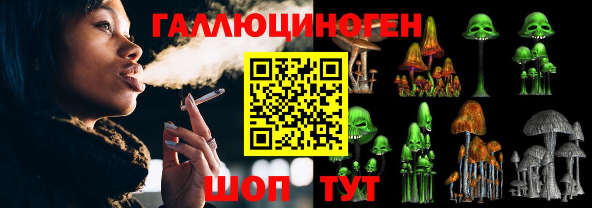 Галлюциногенные грибы Psilocybe Керчь